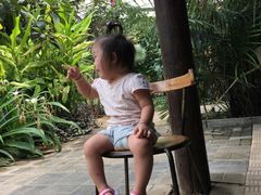 -呀路古热带植物园