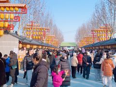 -青龙湖公园
