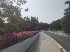 -厦门园林博览苑