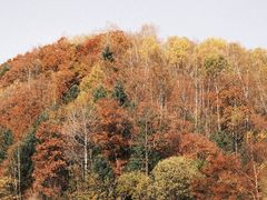 -茅兰沟国家森林公园