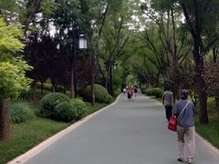 -迎泽公园