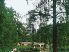 -重庆彩云湖湿地公园