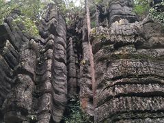 -梭布垭石林景区