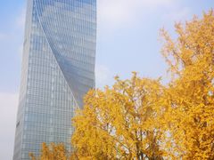 -百林公园-两江幸福广场