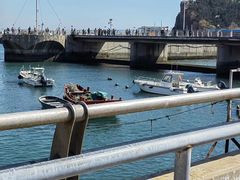 -大连老虎滩海洋公园