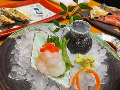 小青龙-月龍吟(朝龙汇店)