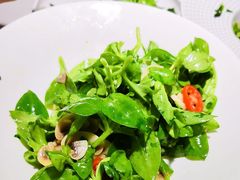 -来相会饺子·新辽菜(甘家口店)