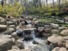 -大连植物园