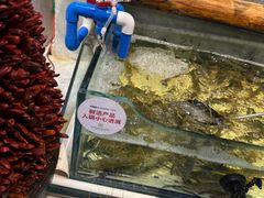 -川骄海鲜自助(河东店)
