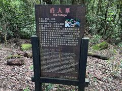 -云南屏边大围山国家公园