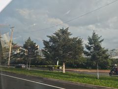 -九转小磨·东北菜老字号(祥安店)