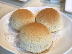 雪顶雄峰-利苑酒家(金宝店)