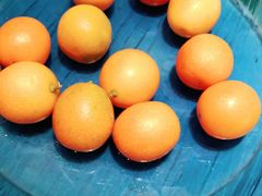 -紫光园·烤鸭·北京菜(劲松店)