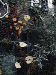 -琥珀婚礼策划AMBER WEDDING