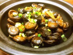 -原鄉本味 楚菜 丹江口鱼(北苑店)