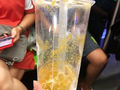 鲜百香双响炮-CoCo都可(合生汇店)