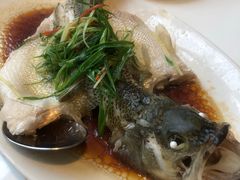 -至潮餐厅精致粤菜·活鲈鱼·走地鸡(珠江新城店)