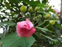 -古宇湖风景名胜区