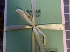 -维尔纳斯·生日蛋糕动物奶油冰淇淋蛋糕(人大店)