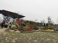 -上海长兴岛郊野公园