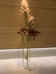 -恒美雅轩·品牌直营连锁