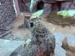 -青藏高原野生动物园