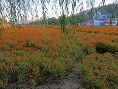 -大连铭湖国际观光牧场