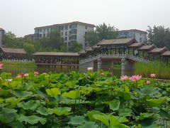 -西海子公园