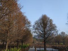 -五缘湾湿地公园
