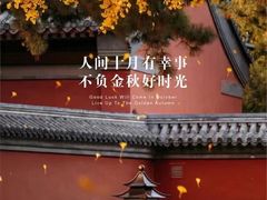 -初花·日本料理