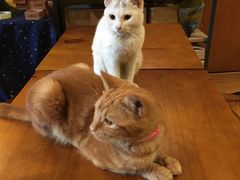 -密讯馆密室逃脱&换装侦探剧(环球港旗舰店)