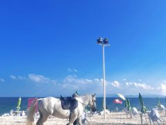 -玫瑰海岸文化旅游度假区