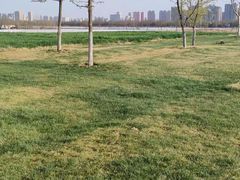 -汉长安城未央宫国家考古遗址公园