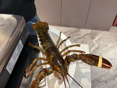 -张亮麻辣烫(哈尔滨金爵万象店)