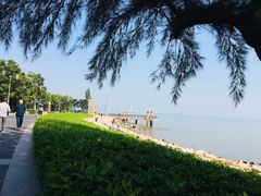 -深圳湾公园(南山区)