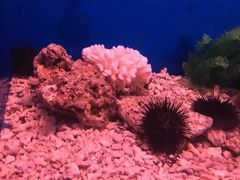 -多彩贵州城极地海洋世界