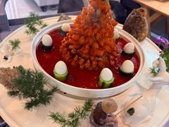 -丁老爷子苏香圆