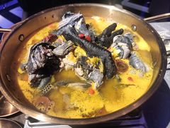 -Darling Queen·Mini·Live·House