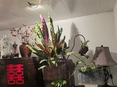 -懒人盐府人家·自贡大麻鱼(安贞店)