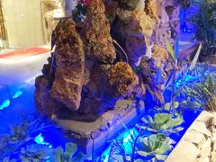 -耍哥串串香(香月湖店)