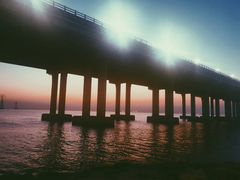 -宝安西湾红树林湿地公园