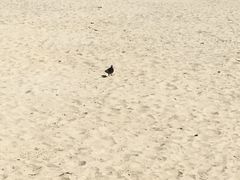 -海云台海滩