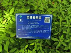 -广西壮族自治区药用植物园