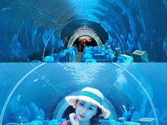 -海棠湾洲际-涛·海底餐厅·美人鱼·自助餐·海底隧道