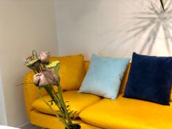 -杨丹国际美学肌研所