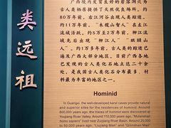 -广西壮族自治区博物馆