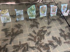 -虾胡闹龙虾馆(湄南河店)