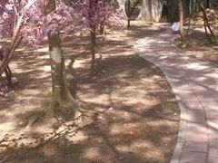 -玫瑰海岸文化旅游度假区