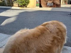 -红河谷晴天别墅轰趴馆