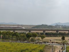 -光明小镇欢乐田园